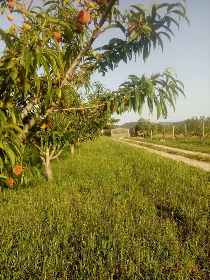Residenza Agrituristica Santa Lucia Con Piscina Daire Alghero Dış mekan fotoğraf